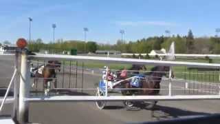 Live Racing  Saratoga Harness [upl. by Shirline511]