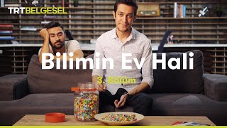 Bilimin Ev Hali  Beynimiz Nasıl Algılar  TRT Belgesel [upl. by Roosevelt812]