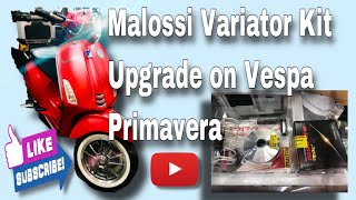 Malossi Variator Kit Upgrade  On Vespa Primavera 150S [upl. by Ainatnas406]