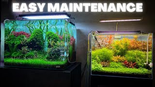 AQUARIUM MAINTENANCE FOR BEGINNERS  QUICK AND SIMPLE [upl. by Browne30]