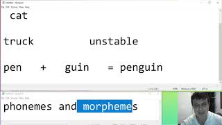 Phonemes and Morphemes the basics [upl. by Ringe]