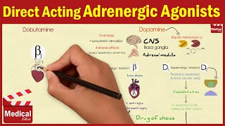 Pharmacology ANS 15 Direct Acting Adrenergic Agonists Dopamine Dobutamine Oxymetazoline [upl. by Finnie345]