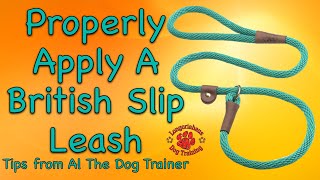 How To Properly Apply A British Slip Leash  Tips From Al The Dog Trainer [upl. by Assirhc]