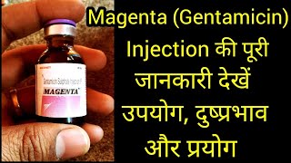 Gentamicin injection Uses in hindi  Genticyn injection use hindi  gentamicin sulphate injection [upl. by Iz]