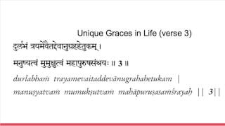 Vivekachudamani chanting verse 15 1 [upl. by Ecirtnahs596]