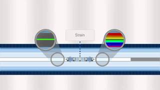 FBG Optical Sensing Overview [upl. by Einavoj101]