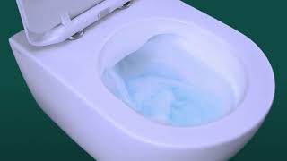 What are Rimless Toilets [upl. by Sexela]