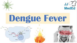 Dengue Fever  Pathophysiology Symptoms Diagnosis amp Treatment [upl. by Anaehr435]