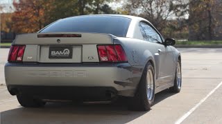 BRUTE ForceProcharged F1A Terminator Cobra Review by BAMA Performance [upl. by Lewis313]