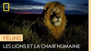 Le lion et lattrait de la chair humaine [upl. by Srevart417]