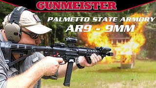 9mm AR15  PSA GX9 REVIEW [upl. by Charleen]