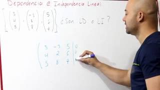 Dependencia e Independencia Lineal  Vectores  Álgebra Lineal [upl. by Esinaj]