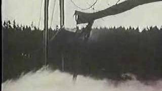 Tacoma Narrows Bridge Disaster [upl. by Theodor]