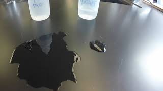 Ethanol vs Water Evaporation Demonstration [upl. by Anitnamaid]