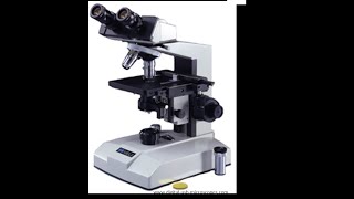 Micro Lab 3 Introduction to Compound Light Microscopy [upl. by Nwahser533]