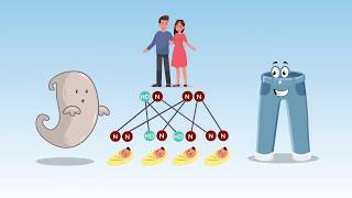 NiemannPick disease Types A and B  causes symptoms diagnosis treatment pathology [upl. by Danforth143]