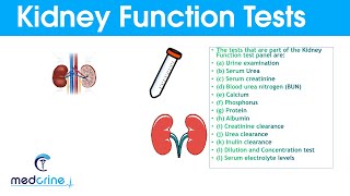 Kidney Function Tests and Interpretation of Results [upl. by Acinorev725]