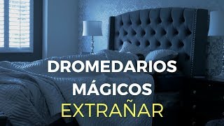 Dromedarios Mágicos  Extrañar Video Oficial [upl. by Ailahtan]