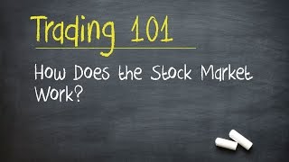 Trading 101 How Does the Stock Market Work [upl. by Ynahpit]