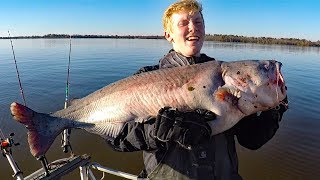 How to catch catfish in a river  fishing for big catfish bait rods reels rigs [upl. by Ahsek197]