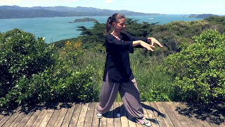 Tai Chi 5 Minutes a Day Module 01  Easy for Beginners  the Wave and Embracing the Moon [upl. by Ytisahcal513]