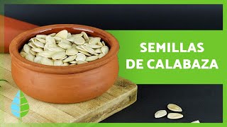 SEMILLAS de CALABAZA 🎃 Propiedades BENEFICIOS y Cómo Prepararlas 🧡 [upl. by Ledua]