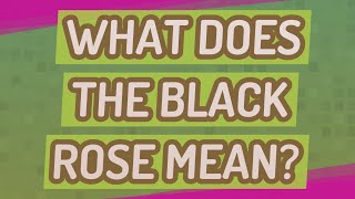 What does the black rose mean [upl. by Ndnarb]