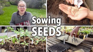 Sowing Seeds Absolutely Everything You Need to Know [upl. by Delacourt]