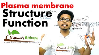 Plasma membrane structure and function [upl. by Marciano]