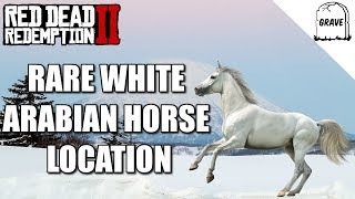 Rare White Arabian Horse Location Red Dead Redemption 2 [upl. by Kalina200]