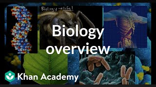 Biology overview [upl. by Jenkel]