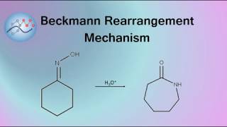 Beckmann Rearrangement Example Mechanism  Organic Chemistry [upl. by Myrna]