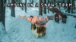 Winter Camping in a Snowstorm with My Dog [upl. by Oihsoy4]