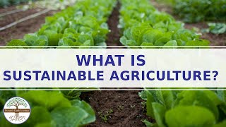 Sustainable Farming Explainer Video Sustainable Agriculture [upl. by Sidwel715]