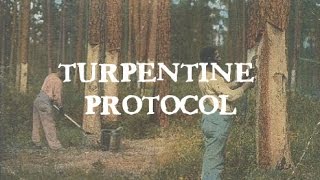 Turpentine Protocol Candida and Parasites [upl. by Jessabell683]