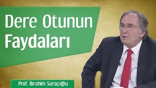 Dere Otunun Faydaları  Prof İbrahim Saraçoğlu [upl. by Libnah]