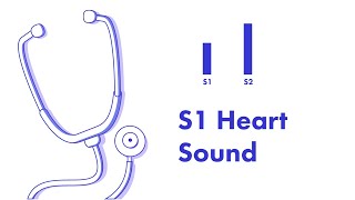 S1 Heart Sound  Learn How to Auscultate Part 8 [upl. by Doowron]