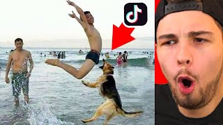 die LUSTIGSTEN TIK TOK FAILS des Jahres 😂🔥 [upl. by Aniteb]