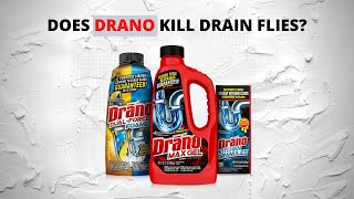 Will Drano Kill Drain Flies Stop Those Pests [upl. by Mas]