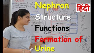 Nephron in Hindi  Structure  Functions  Urine formation  RajNEET Medical Education [upl. by Gaw]