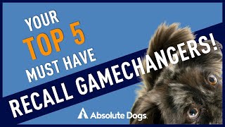 Top 5 Must Have RECALL Gamechangers [upl. by Nalyk]