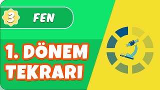 3Sınıf Fen 1Dönem Full Tekrar 📝 [upl. by Akinas]