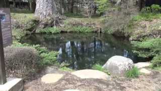 世界遺産／忍野八海 World heritage ／Oshino Hatsukai（Mt Fuji view point amp 8 Spring Ponds from Mt．fuji） [upl. by Arahsak]