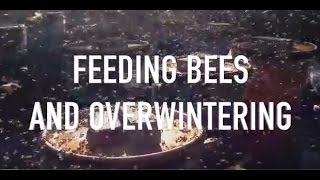 Feeding Bees and Overwintering [upl. by Imray]