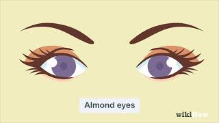 How to Determine Eye Shape [upl. by Tris]