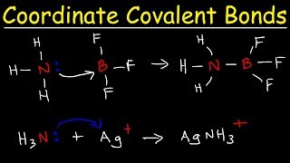 What is a Coordinate Covalent Bond [upl. by Choo]