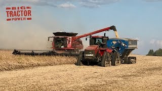 Case IH 9240 AxialFlow Combines Harvesting Soybeans [upl. by Aitret494]