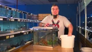 Fishkeeping Tips  How To Perform A Water Change On An Aquarium [upl. by Odele]