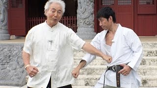 Shotokanryu meets Okinawa Gojyuryu  Meitatsu Yagi and Tatsuya Naka【GREAT JOURNEY OF KARATE】 [upl. by Menell]