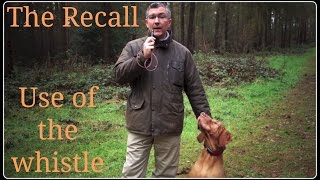 Dog Recall and the Effective Use of the Whistle [upl. by Huston]